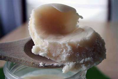 прием барсучьего жира прием барсучьего жира