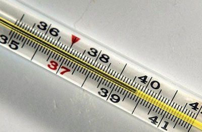 Температура 40 градусов Температура 40 градусов