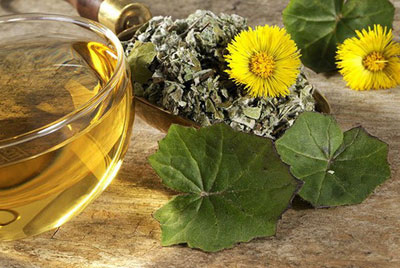 мать-и-мачеха мать-и-мачеха